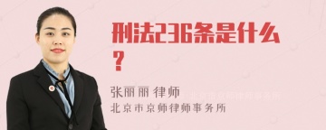 刑法236条是什么？