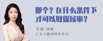 那个？在什么条件下才可以取保候审？