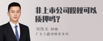 非上市公司股权可以质押吗？