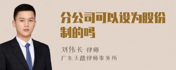 分公司可以设为股份制的吗