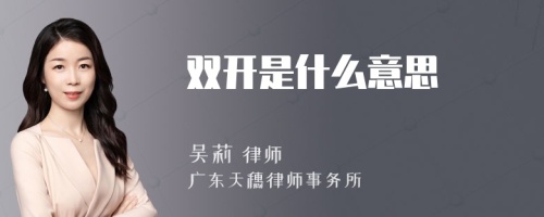 双开是什么意思