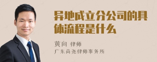 异地成立分公司的具体流程是什么