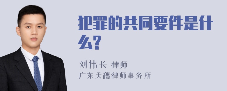 犯罪的共同要件是什么?