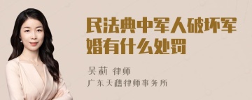 民法典中军人破坏军婚有什么处罚