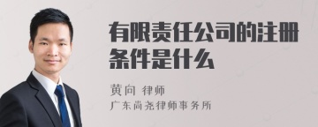 有限责任公司的注册条件是什么