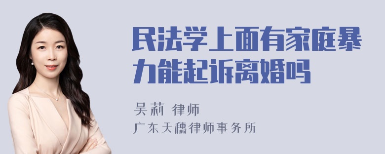 民法学上面有家庭暴力能起诉离婚吗