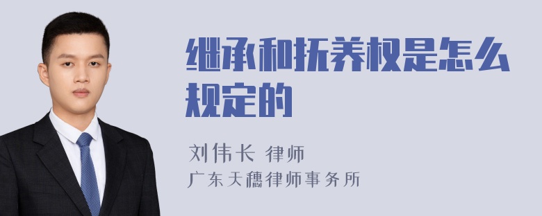 继承和抚养权是怎么规定的