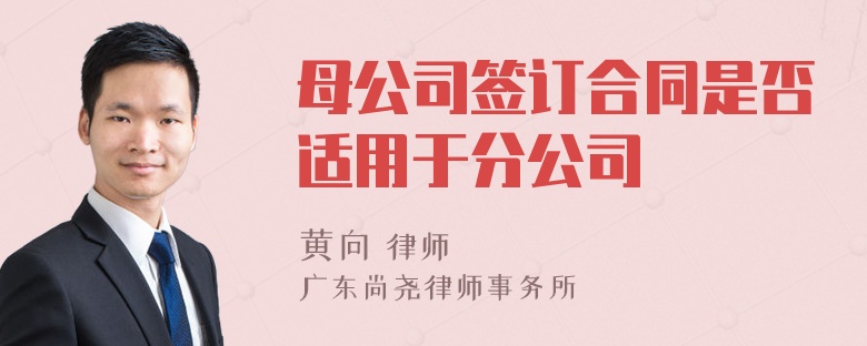 母公司签订合同是否适用于分公司