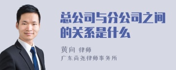 总公司与分公司之间的关系是什么