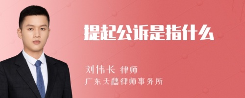 提起公诉是指什么