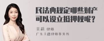 民法典规定哪些财产可以设立抵押权呢？