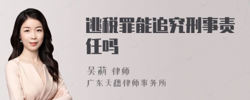 逃税罪能追究刑事责任吗