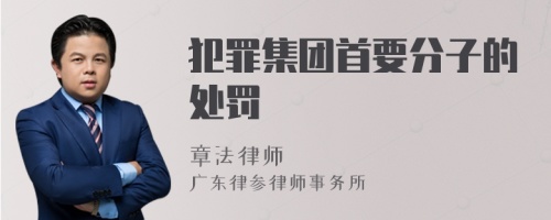 犯罪集团首要分子的处罚