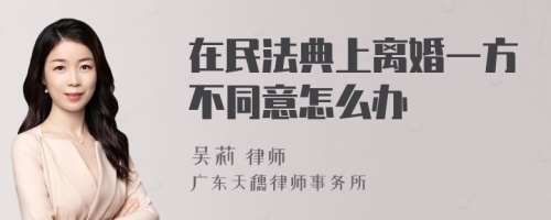 在民法典上离婚一方不同意怎么办