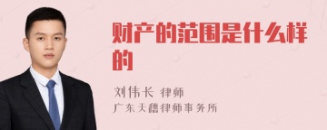 财产的范围是什么样的