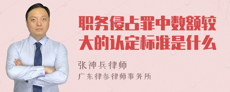 职务侵占罪中数额较大的认定标准是什么