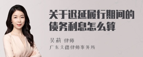 关于迟延履行期间的债务利息怎么算