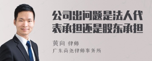 公司出问题是法人代表承担还是股东承担