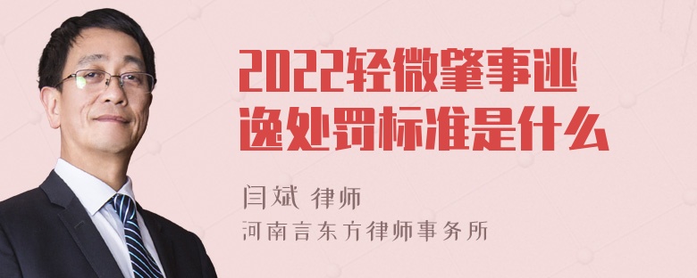 2022轻微肇事逃逸处罚标准是什么