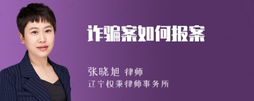 诈骗案如何报案