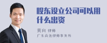 股东设立公司可以用什么出资