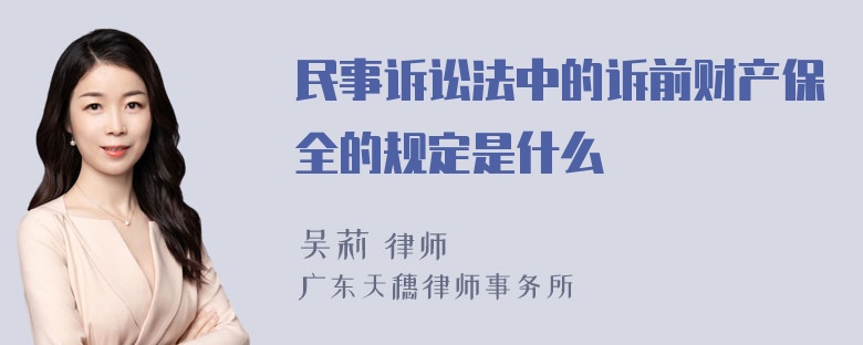 民事诉讼法中的诉前财产保全的规定是什么