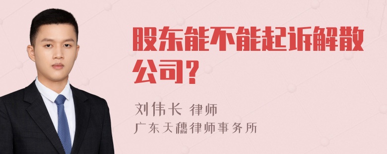 股东能不能起诉解散公司？