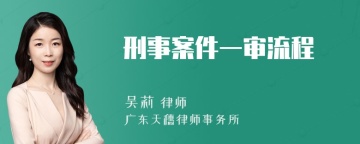 刑事案件一审流程