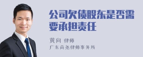 公司欠债股东是否需要承担责任