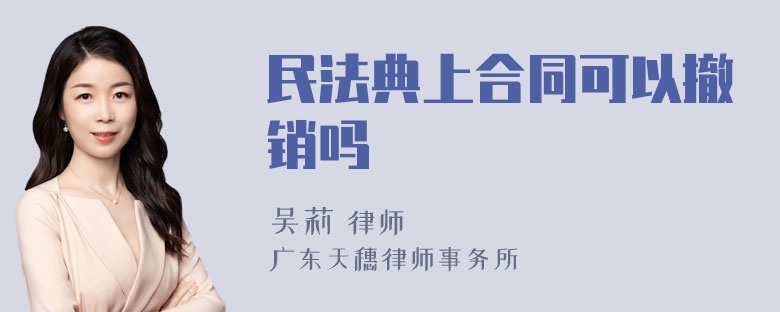 民法典上合同可以撤销吗