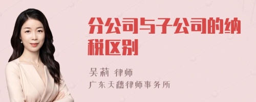 分公司与子公司的纳税区别