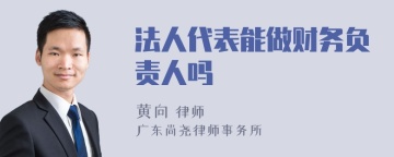 法人代表能做财务负责人吗