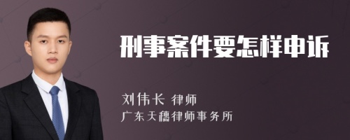 刑事案件要怎样申诉