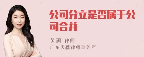 公司分立是否属于公司合并