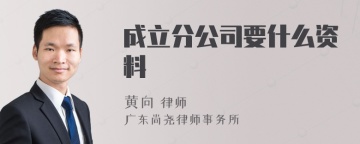 成立分公司要什么资料