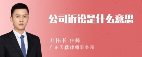 公司诉讼是什么意思