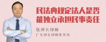 民法典规定法人是否能独立承担民事责任