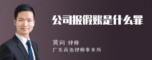 公司报假账是什么罪