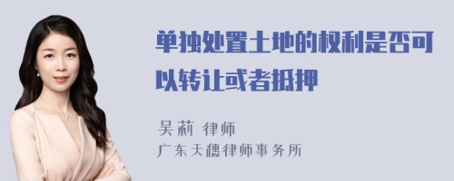 单独处置土地的权利是否可以转让或者抵押