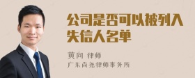 公司是否可以被列入失信人名单