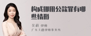 构成挪用公款罪有哪些情形