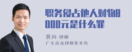 职务侵占他人财物8000元是什么罪