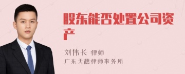 股东能否处置公司资产