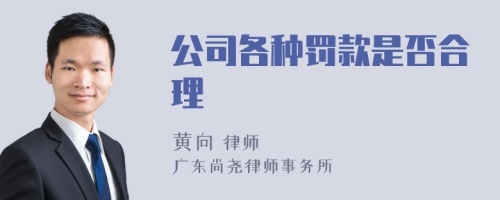 公司各种罚款是否合理