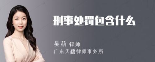 刑事处罚包含什么