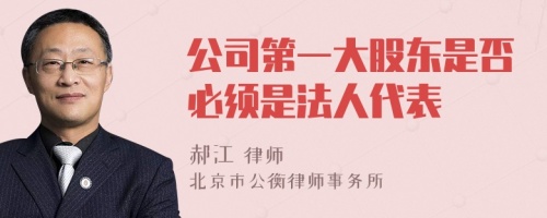 公司第一大股东是否必须是法人代表