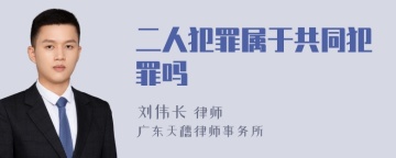 二人犯罪属于共同犯罪吗