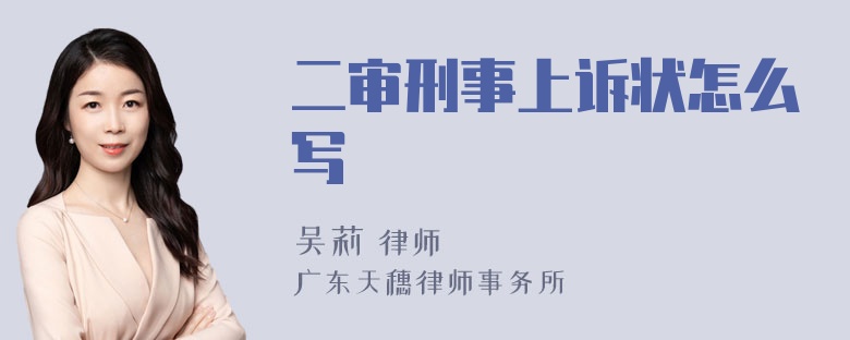 二审刑事上诉状怎么写