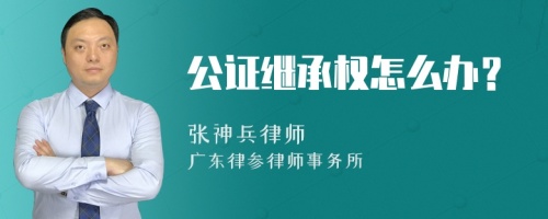 公证继承权怎么办？