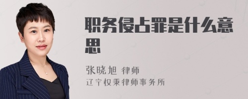 职务侵占罪是什么意思